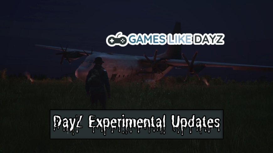 Top 5 Updates from DayZ Experimental You Must Know