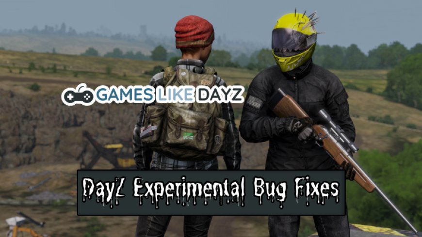 DayZ Experimental Bug Fixes: A Quick Insight